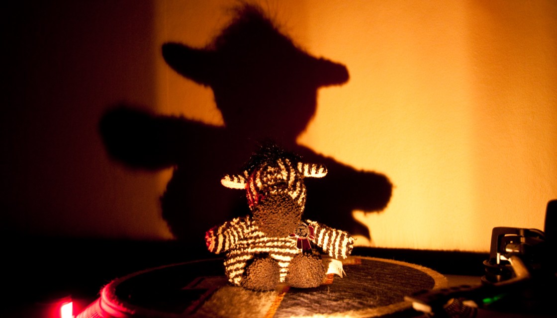 Leninzebra rides the 1200MKII