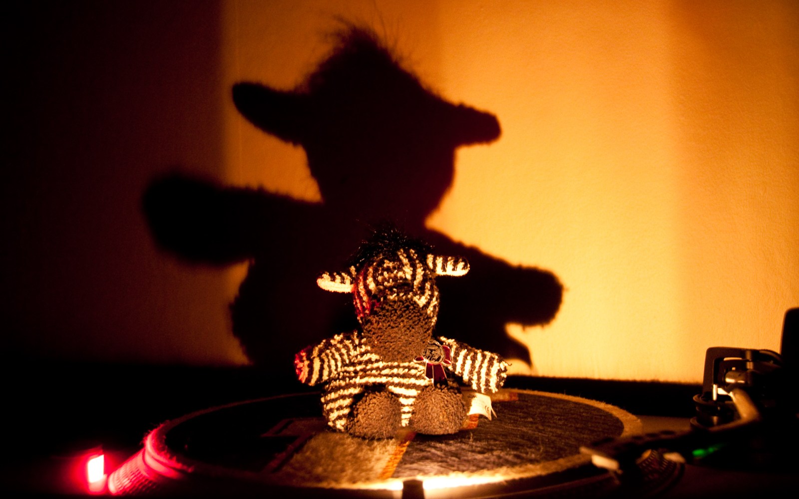 Leninzebra rides the 1200MKII