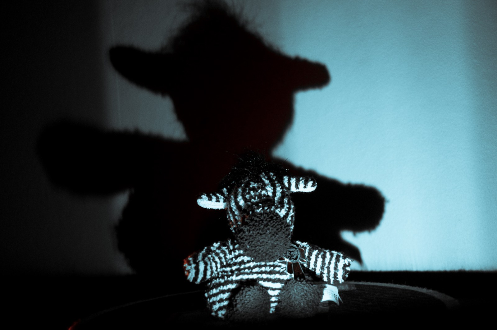 Leninzebra rides the 1200MKII