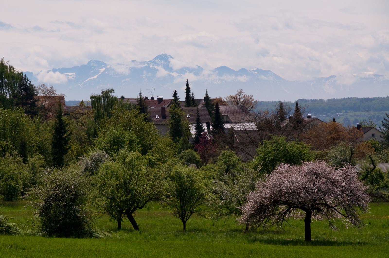 konstanz alper alps bodensjön bodensee lake constance