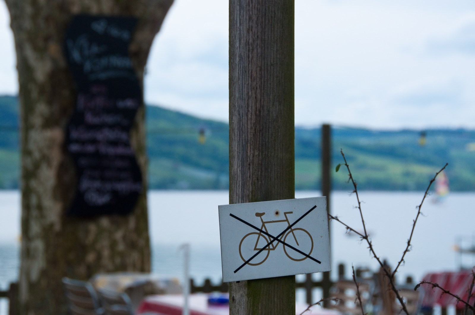 no bikes inga cyklar bodensjön bodensee lake constance