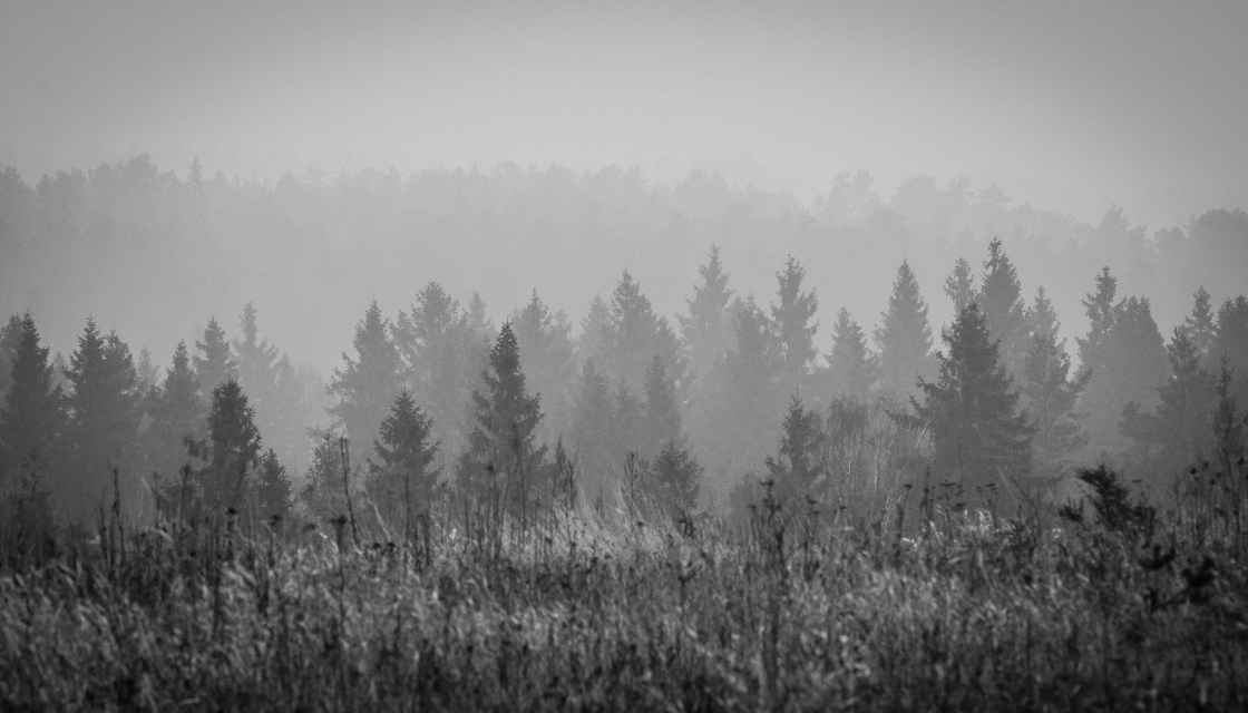 Utsikt mot Kvarnsjön